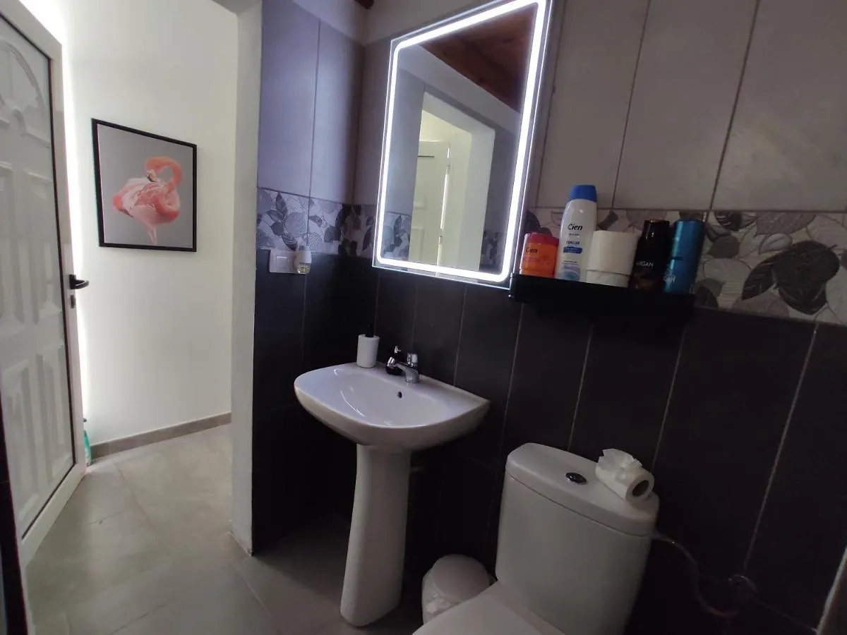 Apartment Flamingo Suite With Terrace And Private Bath By Flamingo House Arrecife