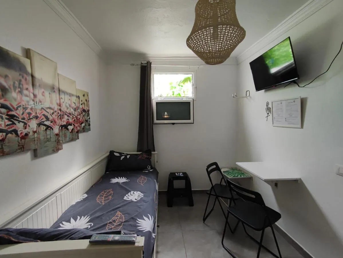 Flamingo Suite With Terrace And Private Bath By Flamingo House Arrecife  Arrecife (Lanzarote)